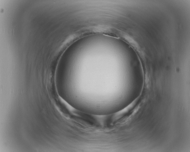 X0000081370201200701252022