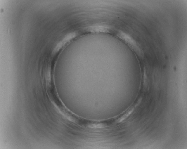 X0000081370202200701252022