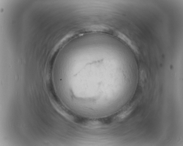 X0000081370203200701252022