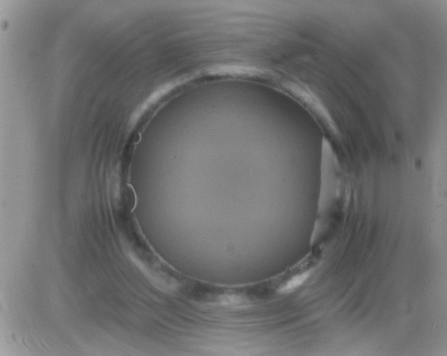 X0000081370204200701252022