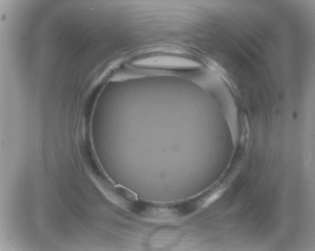 X0000081370205200701252022