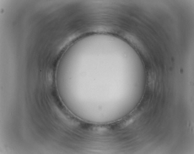 X0000081370208200701252022