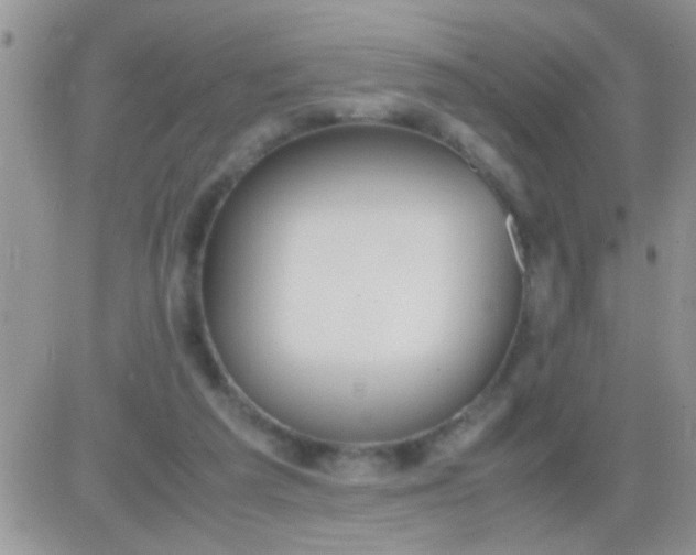 X0000081370209200701252022