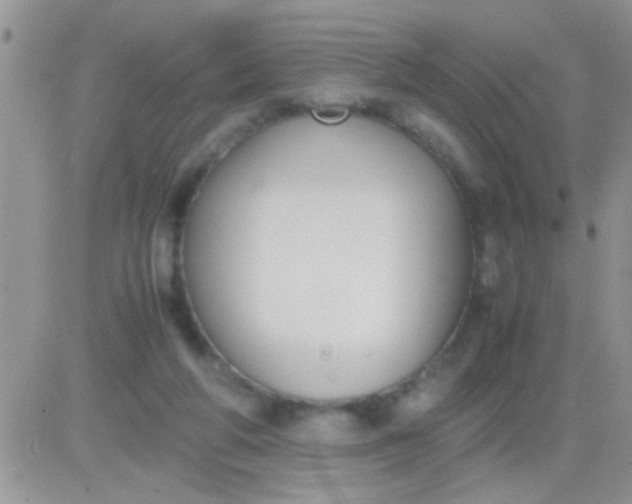 X0000081370210200701252022