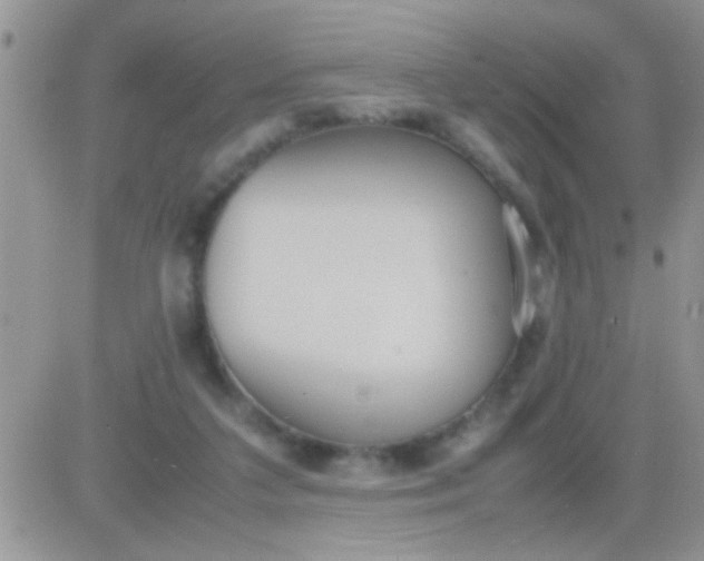 X0000081370211200701252022