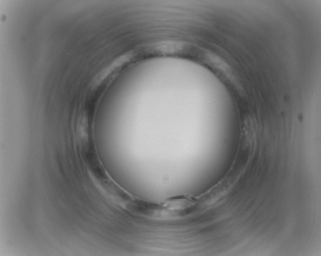 X0000081370212200701252022