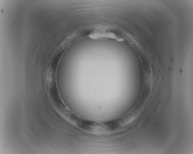 X0000081370215200701252022