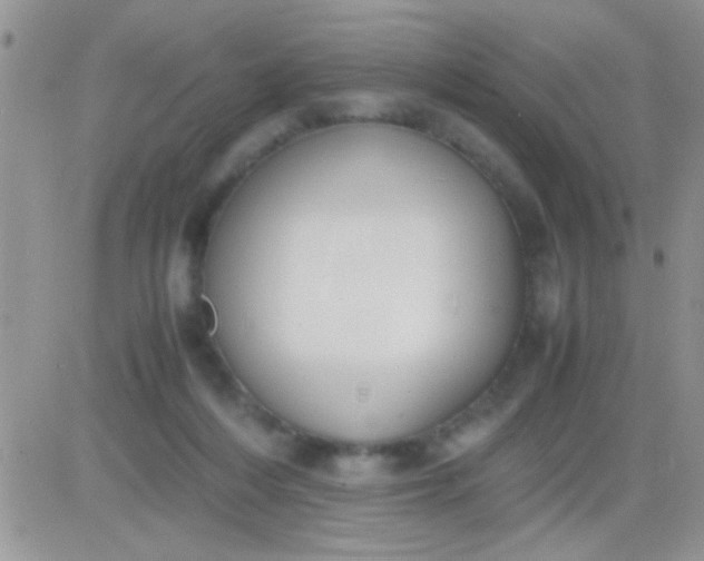 X0000081370216200701252022