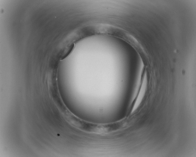 X0000081370217200701252022