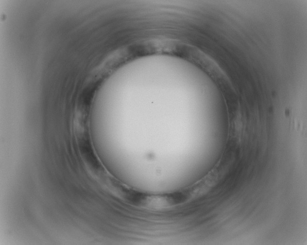 X0000081370218200701252022