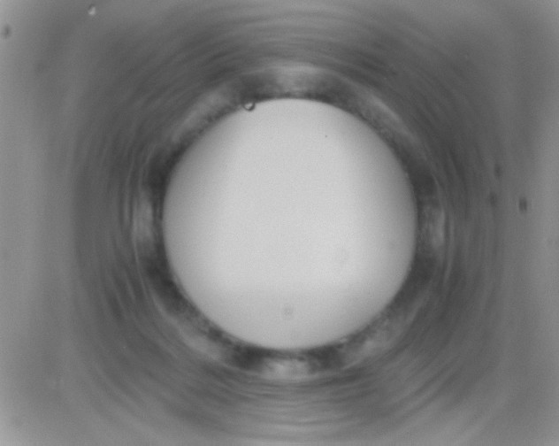 X0000081370220200701252022