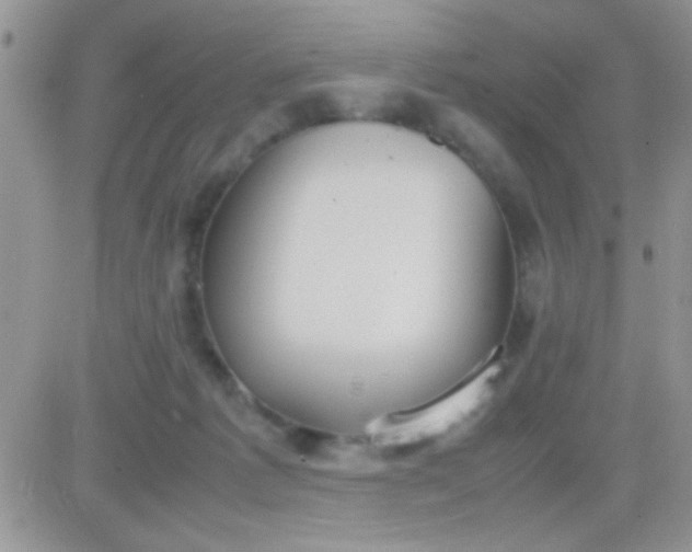 X0000081370221200701252022