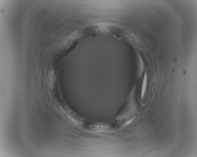 X0000081370223200701252022