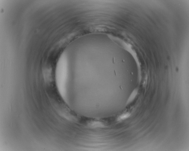 X0000081370224200701252022