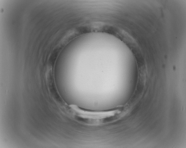 X0000081370225200701252022