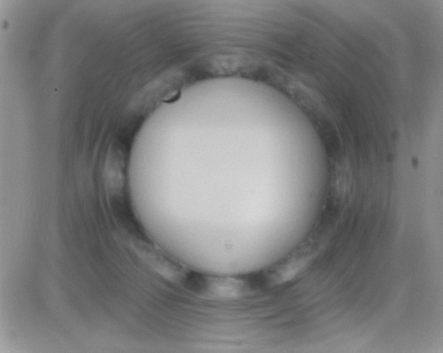 X0000081370226200701252022