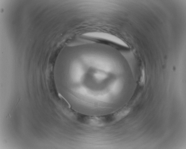 X0000081370229200701252022