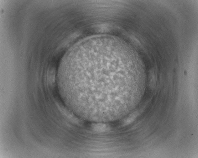 X0000081370230200701252022