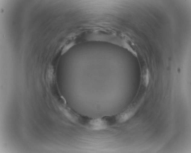 X0000081370231200701252022