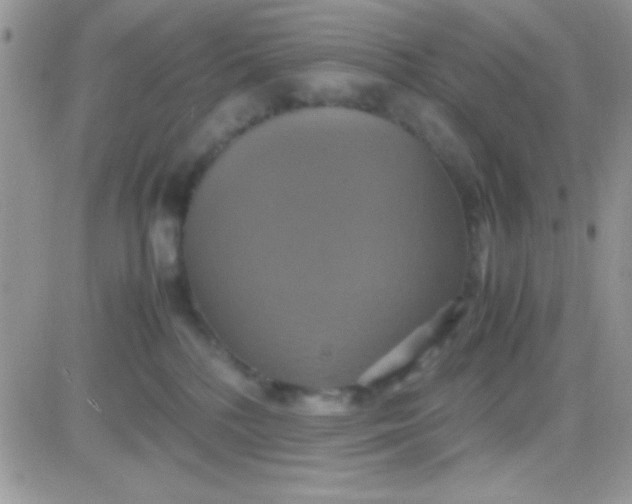 X0000081370232200701252022