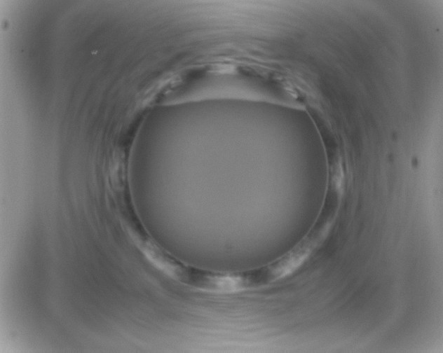 X0000081370233200701252022