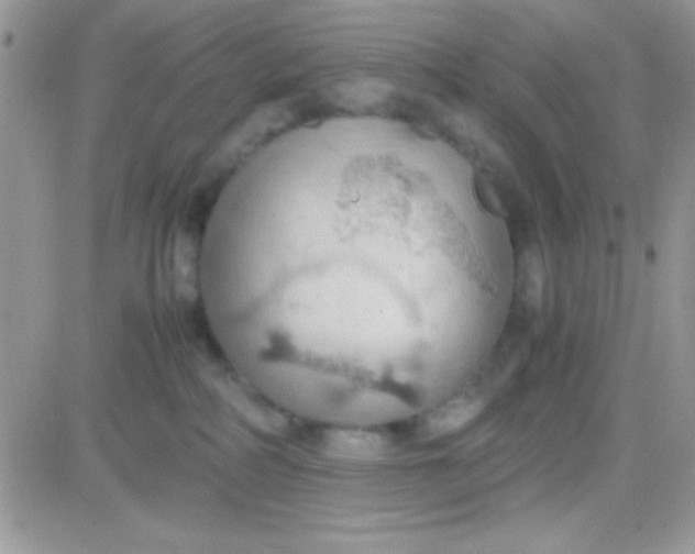 X0000081370234200701252022