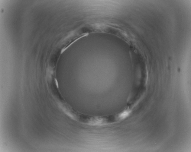 X0000081370235200701252022