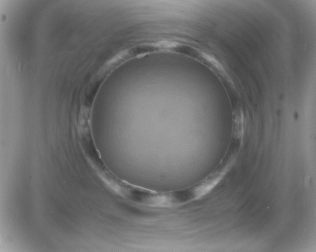 X0000081370237200701252022