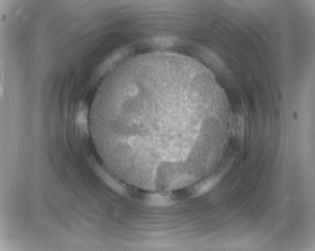 X0000081370238200701252022