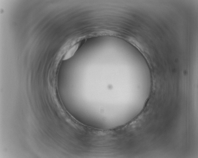 X0000081370241200701252021