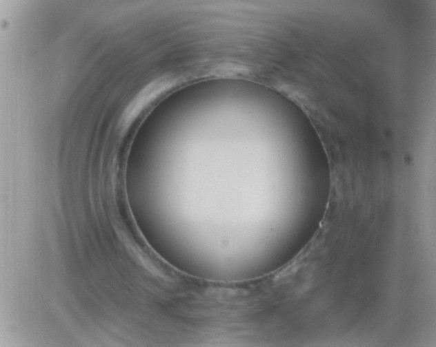 X0000081370242200701252021