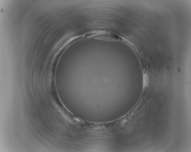 X0000081370243200701252021