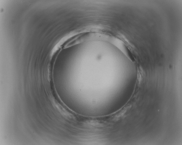 X0000081370244200701252021