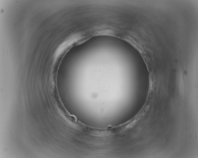 X0000081370245200701252021