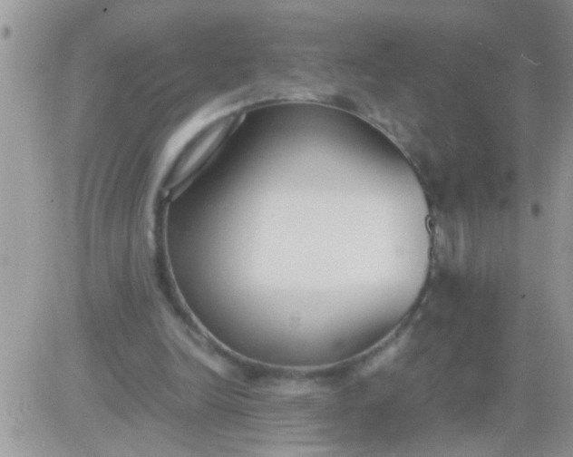 X0000081370246200701252021