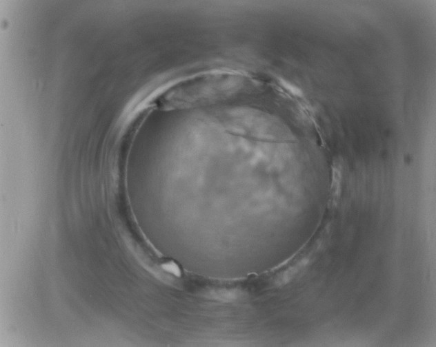 X0000081370247200701252021