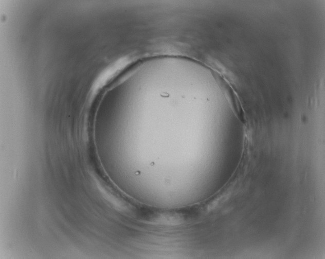 X0000081370248200701252021