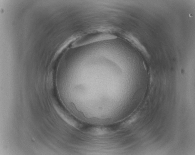 X0000081370250200701252021