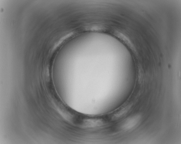 X0000081370251200701252021