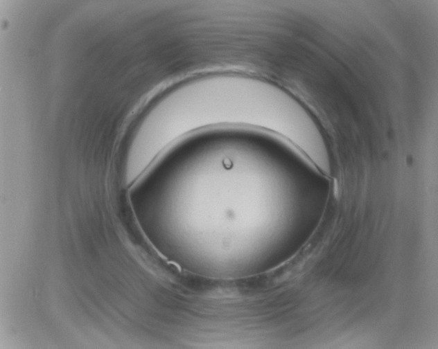 X0000081370252200701252021