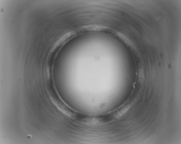 X0000081370254200701252021