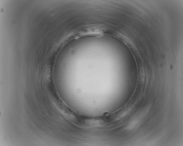 X0000081370255200701252021