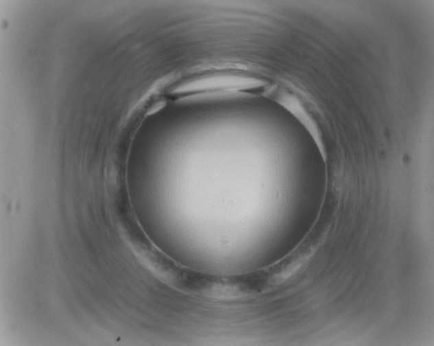 X0000081370256200701252021