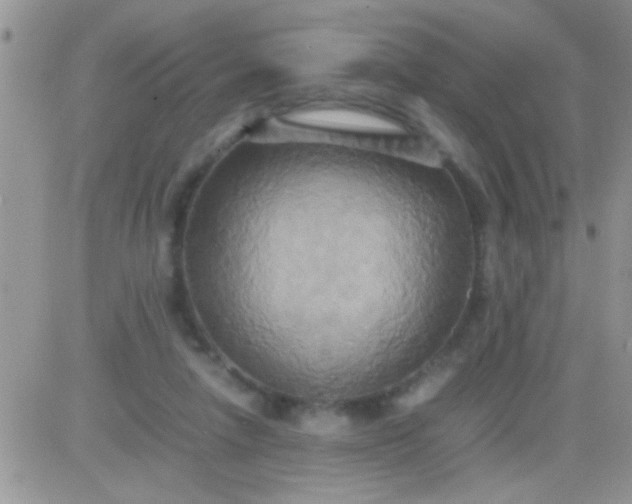 X0000081370258200701252021