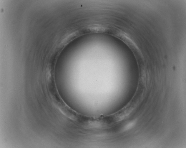 X0000081370259200701252021