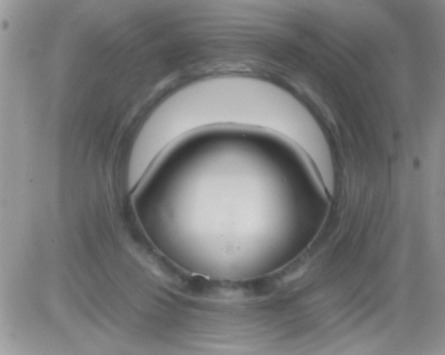 X0000081370260200701252021