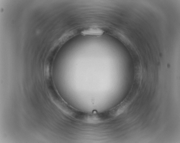 X0000081370262200701252021