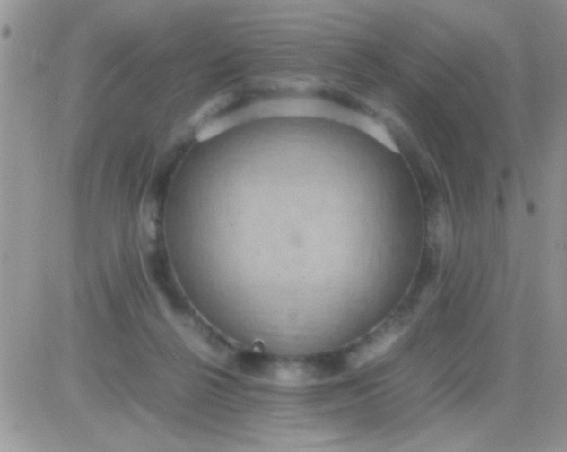 X0000081370264200701252021