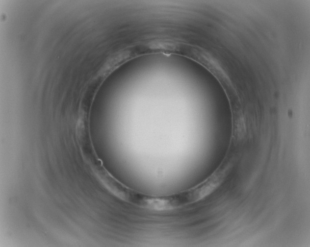 X0000081370265200701252021