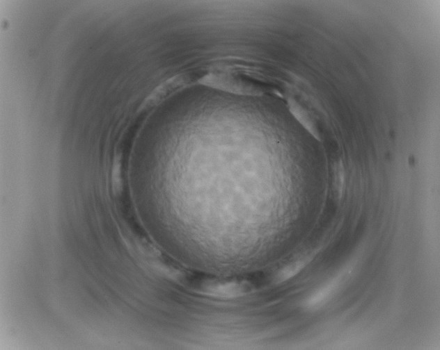 X0000081370267200701252021